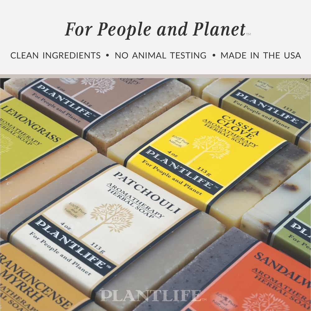 Plantlife label close-up revealing ingredient transparency and plant-based sourcing benefit