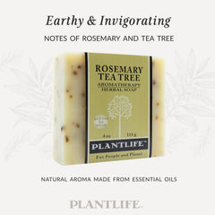Plantlife soap lathering on washcloth illustrating rich foam for effective cleansing