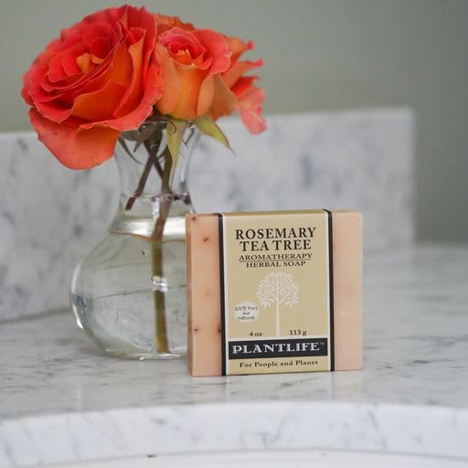 Plantlife soap surface close-up showing creamy texture for gentle moisturizing feel