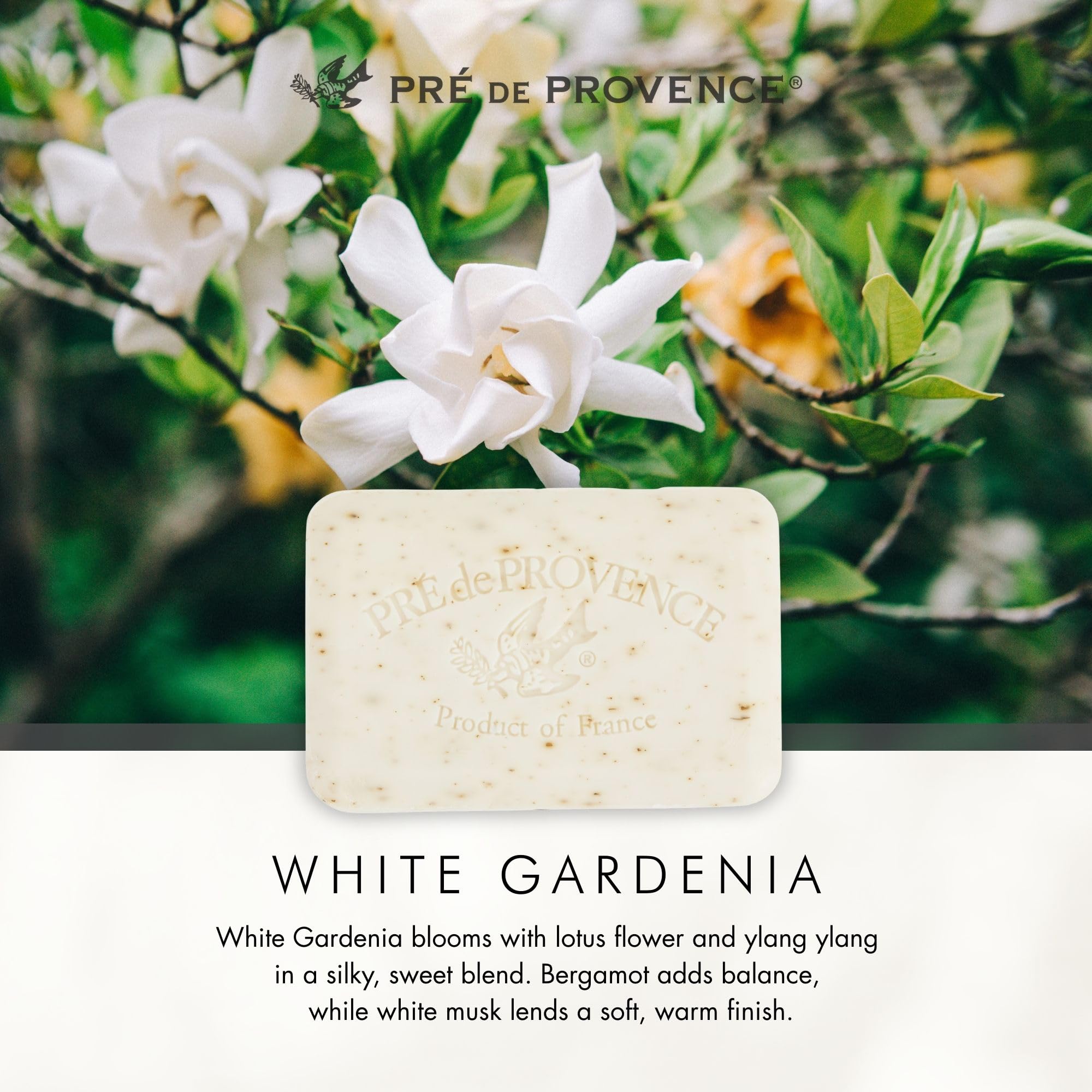 Pre de Provence bathroom lifestyle display creating a fragrant, upscale atmosphere