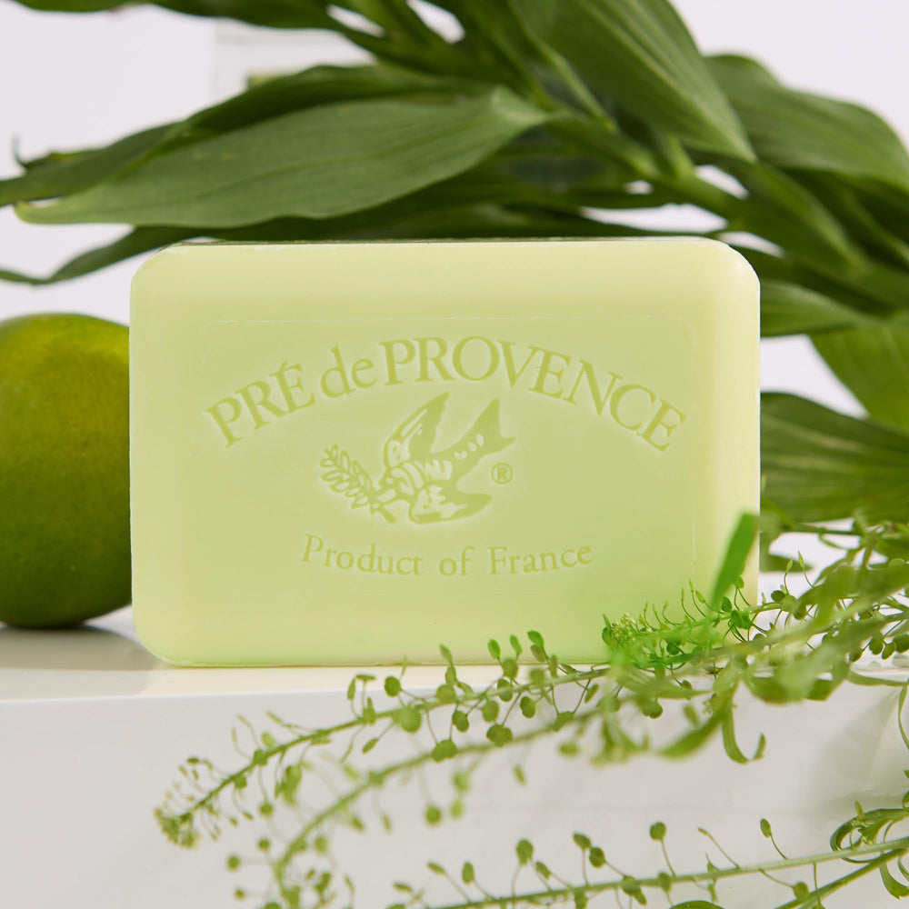 Pre de Provence soap held in hand to show 8.8 oz scale and long-lasting size advantage