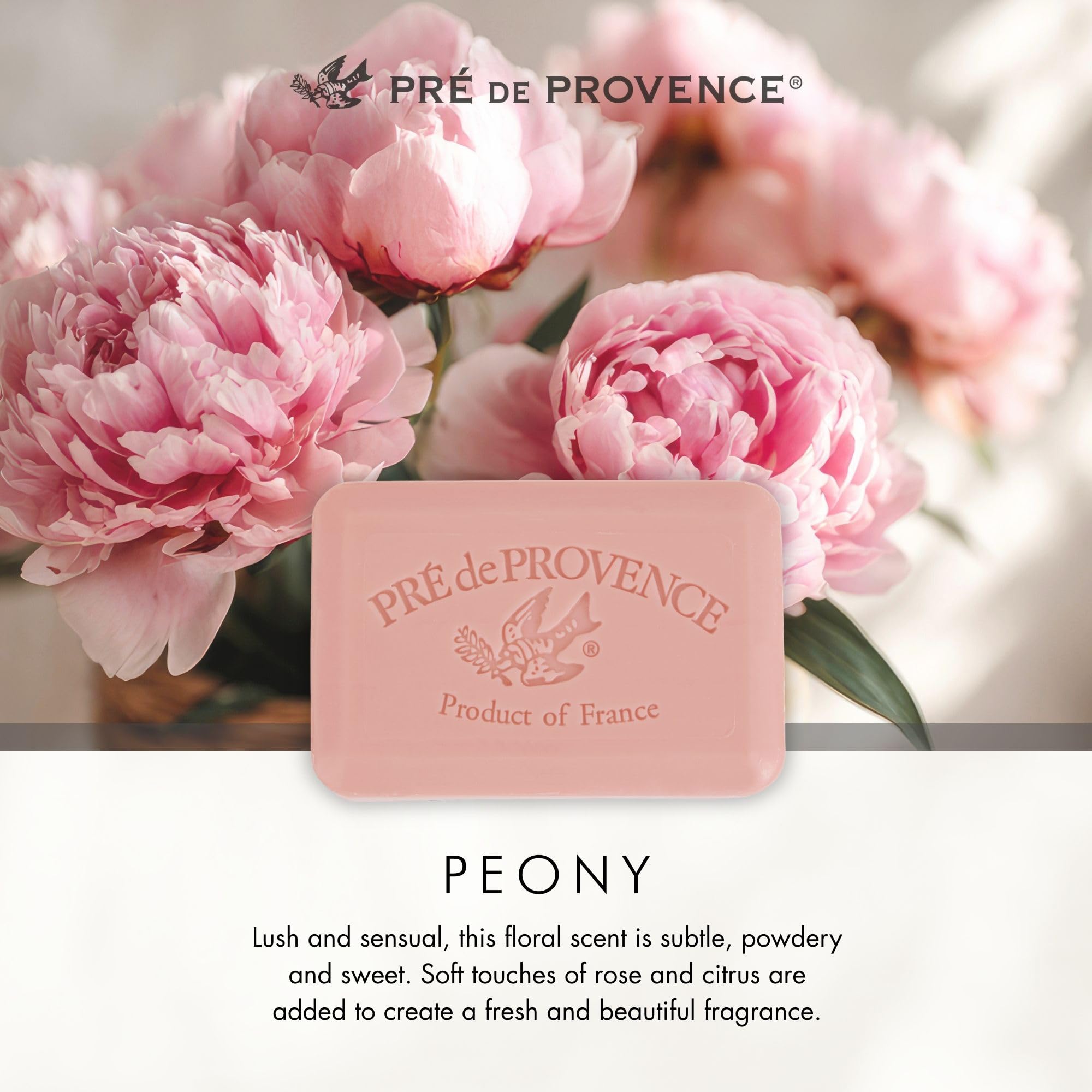 Pre de Provence label close-up revealing ingredients and French-made authenticity benefits
