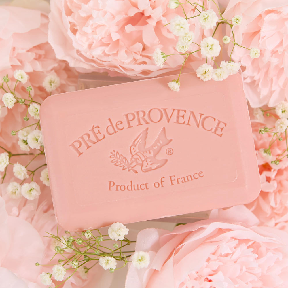 Pre de Provence with shea butter ingredient display indicating nourishing conditioning benefits