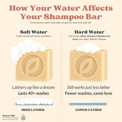 Primal Ethic lather on locs showing deep-cleansing and easy rinse benefit