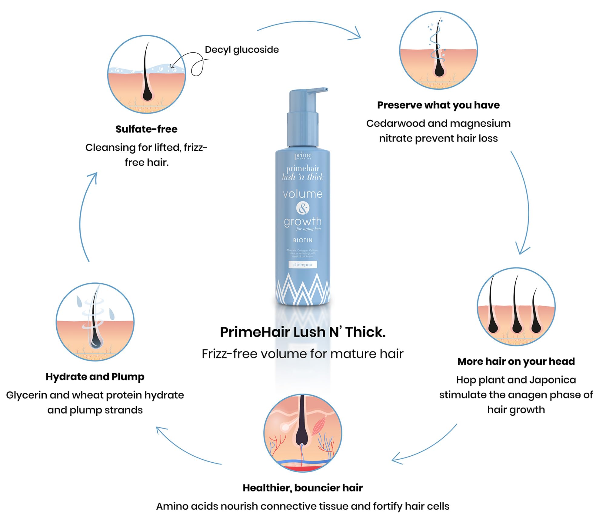 PRIME PROMETICS before and after hair comparison showing added volume
