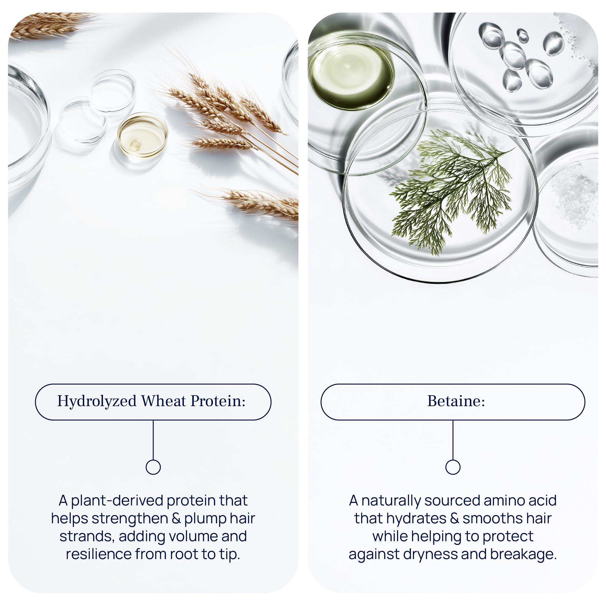 PUREANCE pump detail for easy dispensing and mess-free benefit