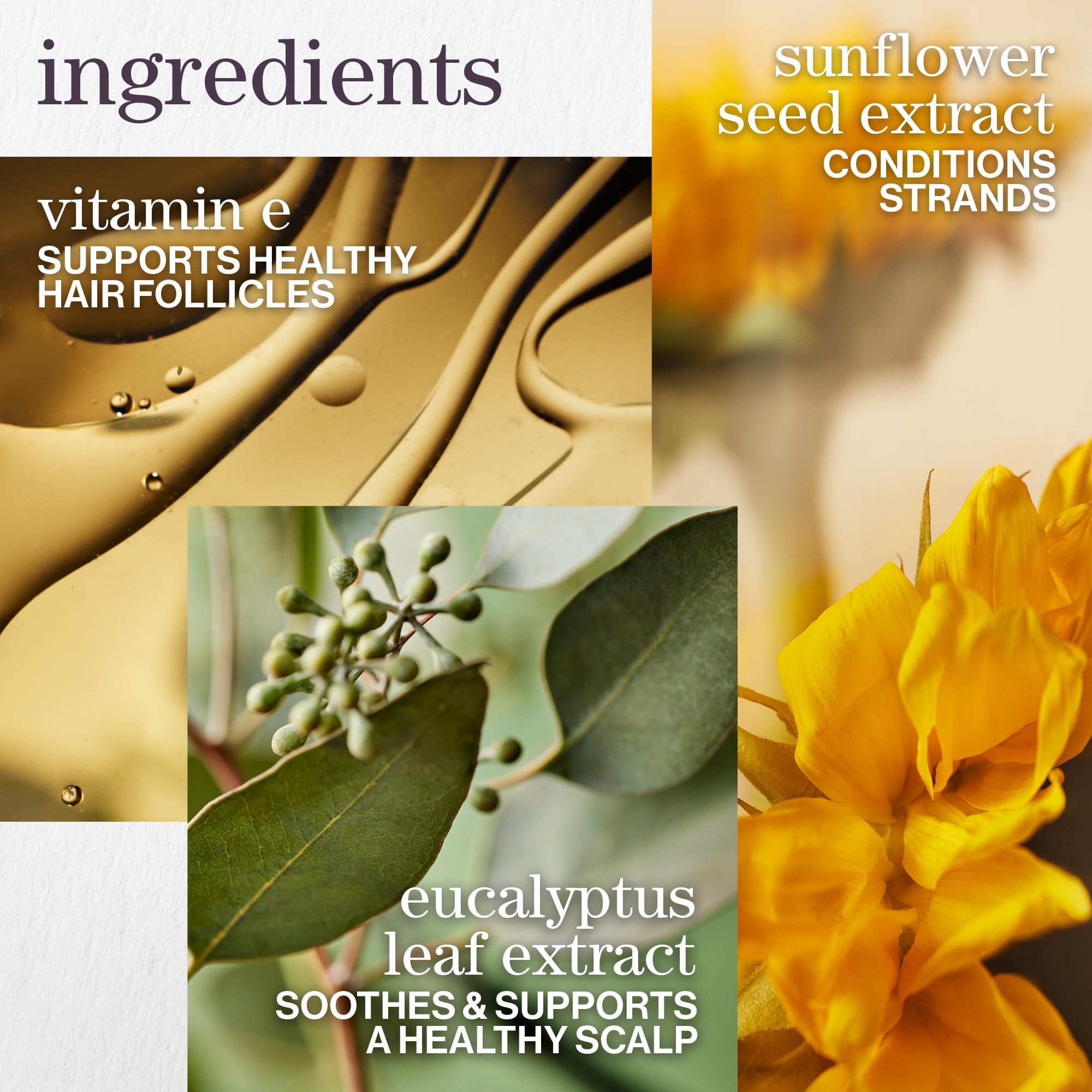 pureology eucalyptus leaf detail demonstrating scalp-refreshing benefit