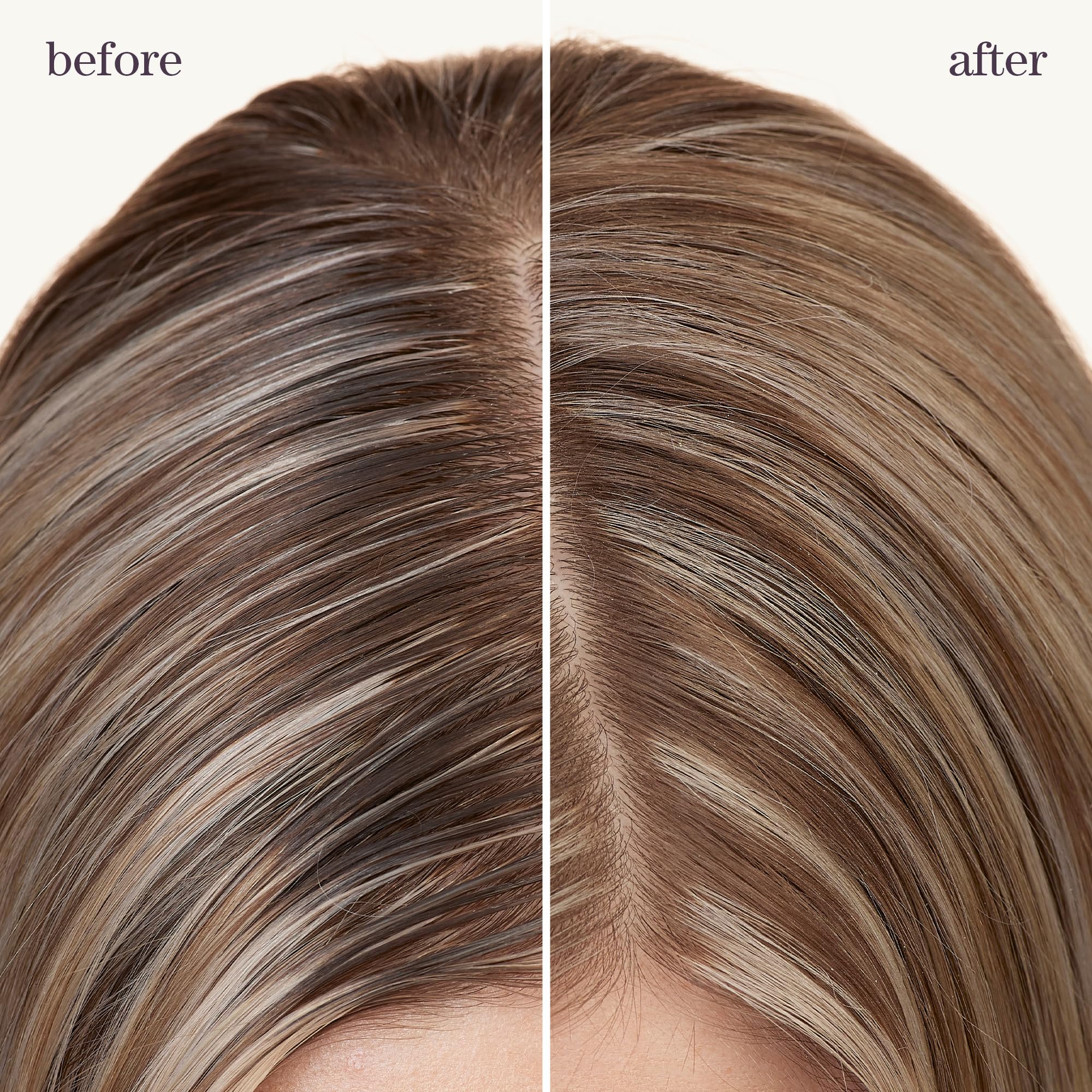 Pureology rice starch close-up texture highlighting oil-absorbing action