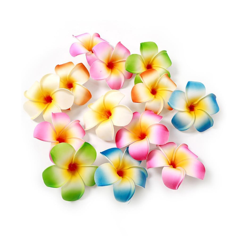 Qintreesify front view of 10-piece pack showing multicolor plumeria clips and vibrant benefit
