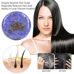 QUAAM shampoo bar being applied on wet hair in shower scene
