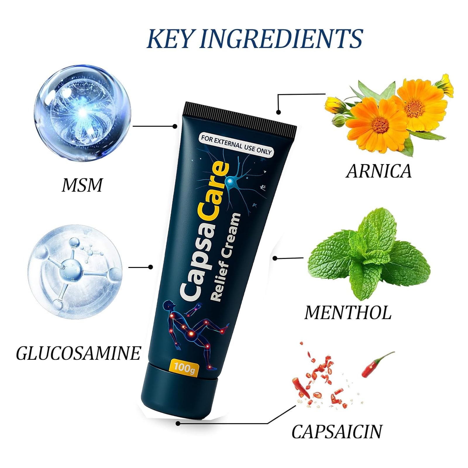 QUZOYU ingredients flatlay with capsaicin and arnica for targeted support