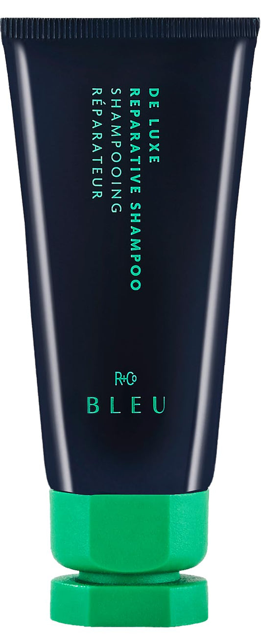 R+Co BLEU De Luxe mini front bottle showing travel‑friendly benefit