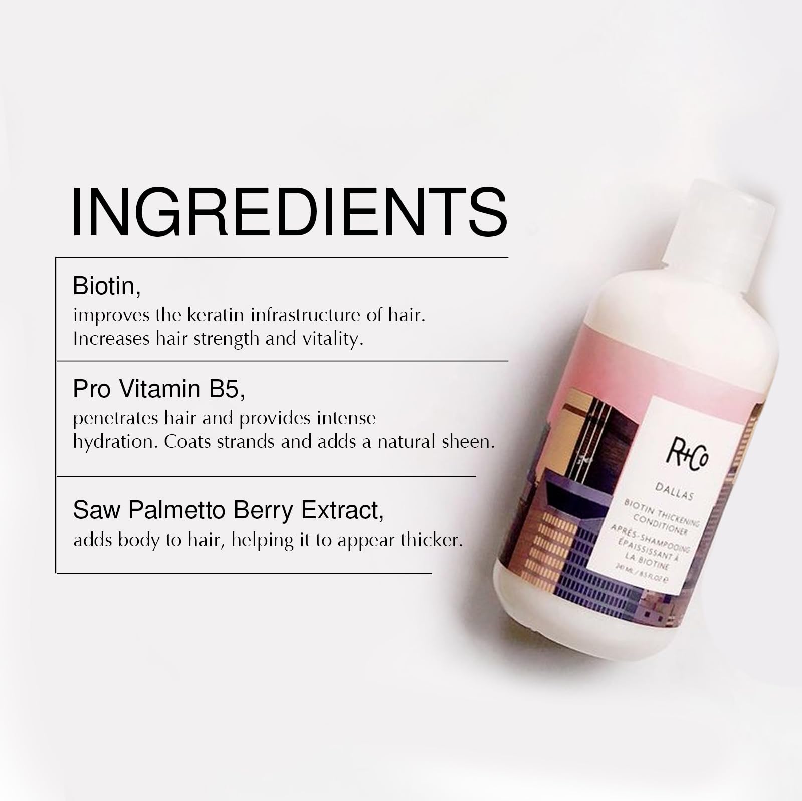 R+Co Dallas duo in bathroom styling scene for daily routine