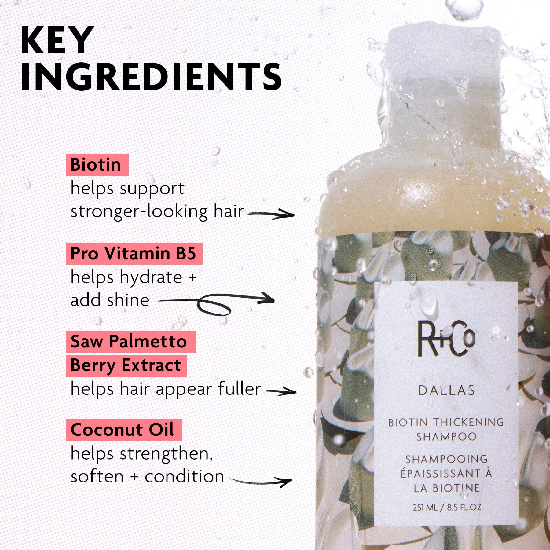 R+Co Dallas ingredient display with loquat and coconut conveying scalp nourishment