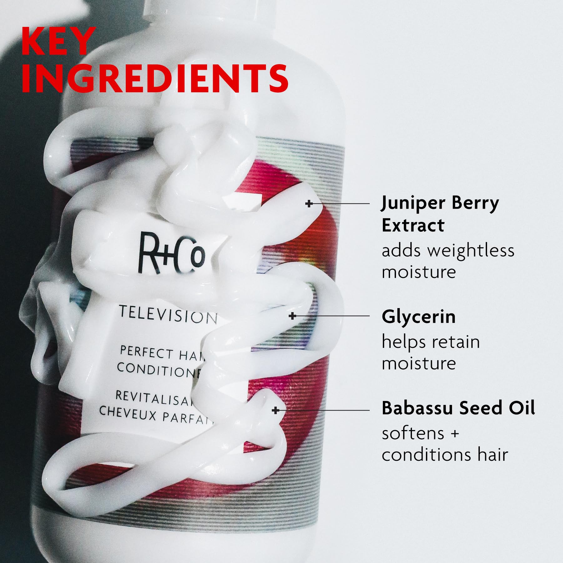 R+Co Television being applied to wet hair demonstrating detangling and reduced breakage