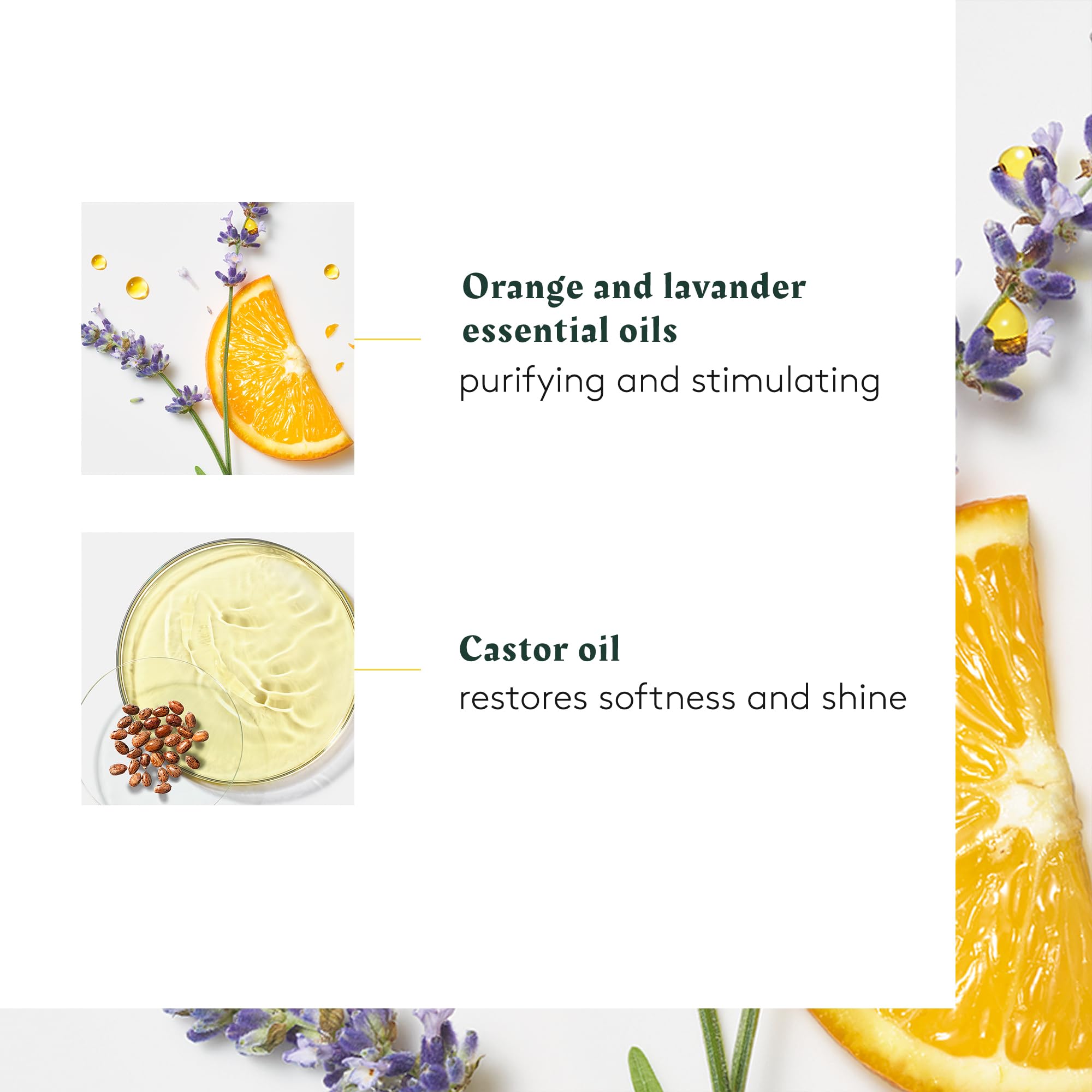 René Furterer oil texture drop demonstrating lightweight absorption benefit