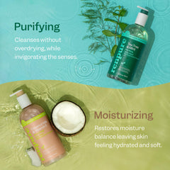 RENPURE close-up label of Tea Tree & Mint highlighting natural ingredient information