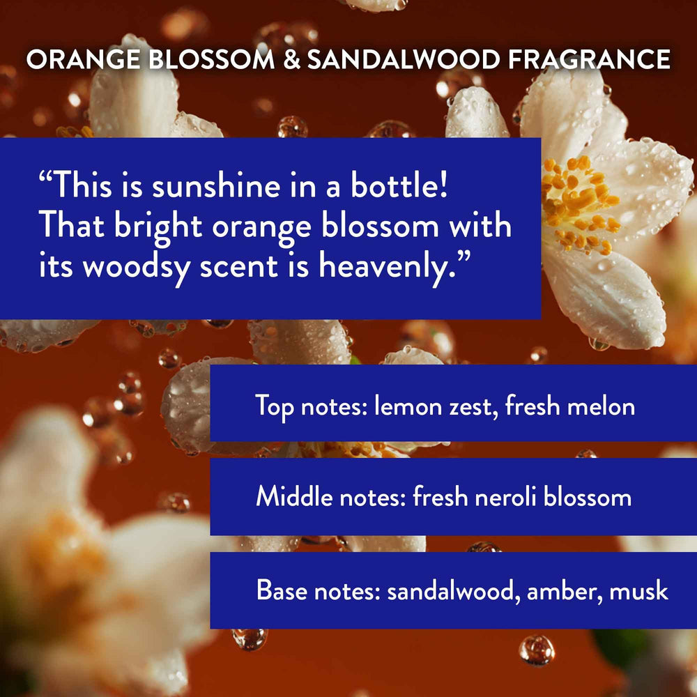 Routine Wellness conditioner cream consistency close-up for detangling and smoothness