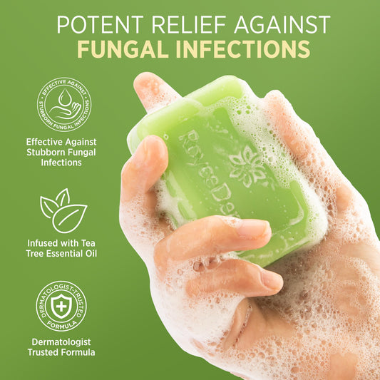 Roycederm close-up lather texture illustrating gentle cleansing