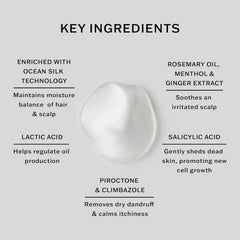 SACHAJUAN rosemary menthol ginger ingredients illustrating soothing botanical support