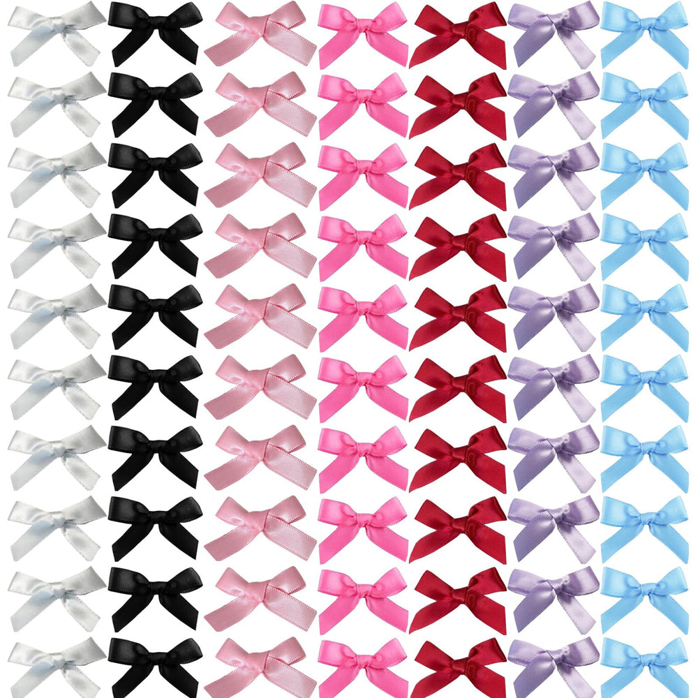 SALOCY front packaging showing 70 mini bows and color variety for styling