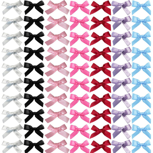 SALOCY front packaging showing 70 mini bows and color variety for styling