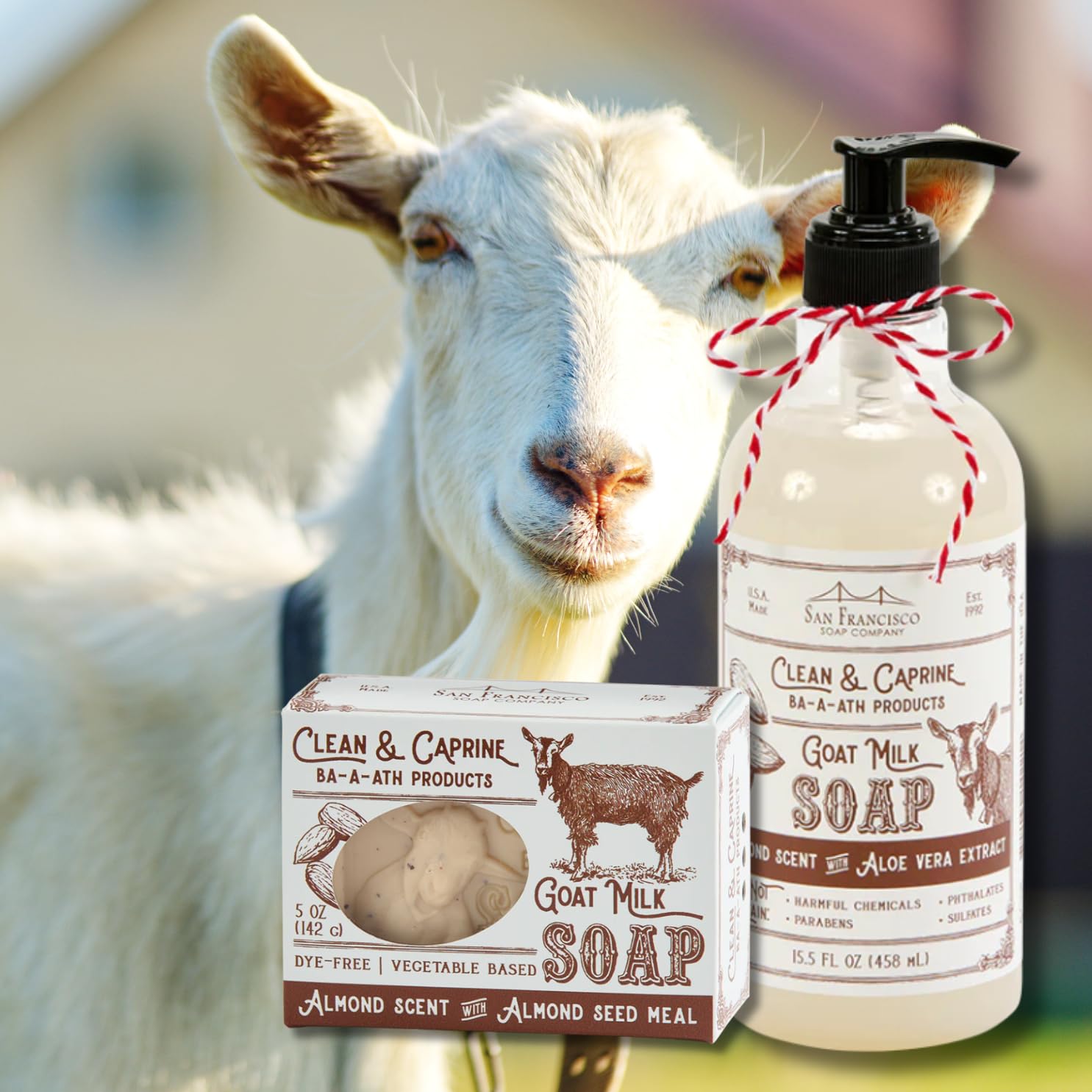 San Francisco Soap Company creamy lather texture on hand demonstrating gentle moisturizing benefits