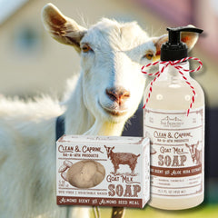 San Francisco Soap Company creamy lather texture on hand demonstrating gentle moisturizing benefits