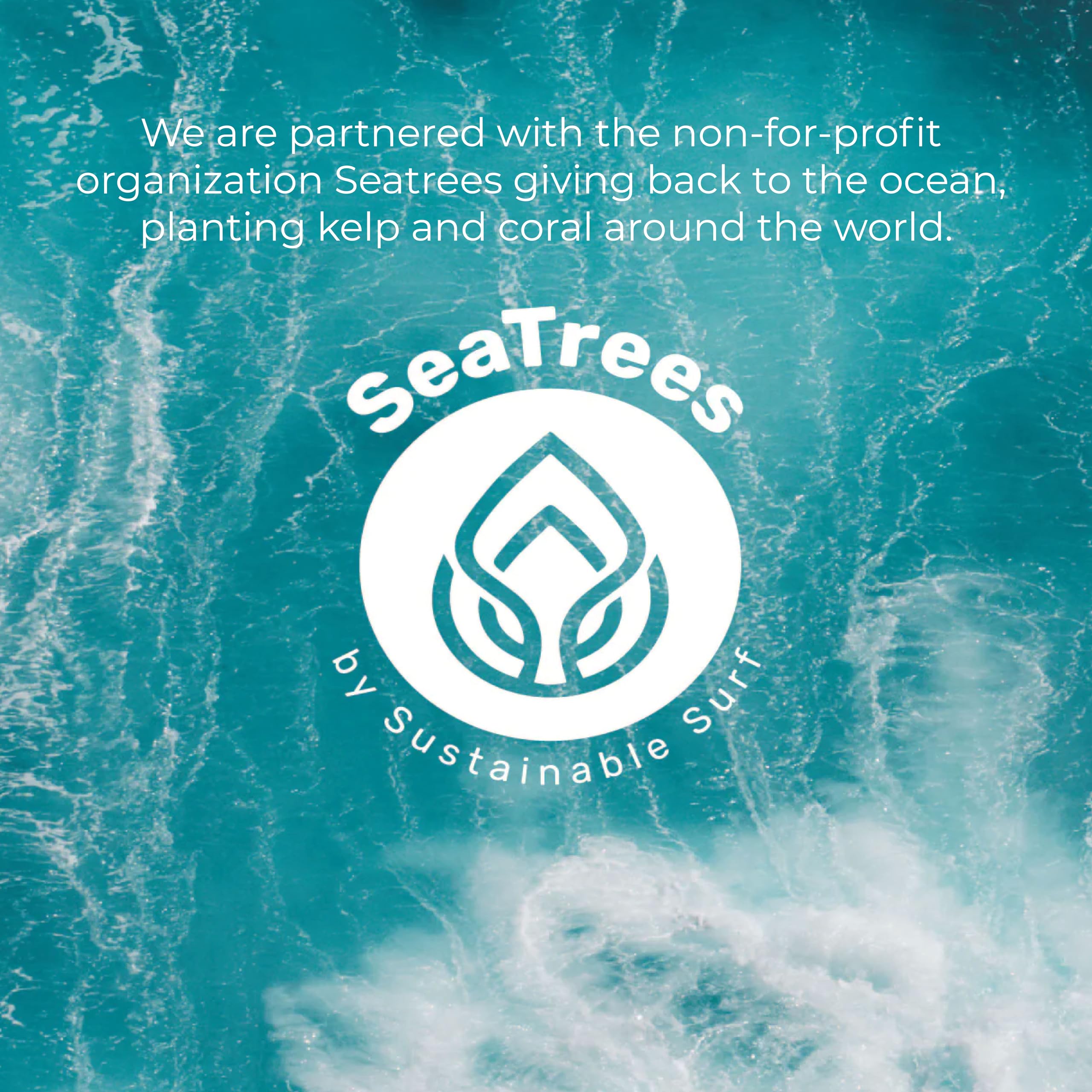 Sea-El serum being brushed across eyelashes showing gentle application and even coverage