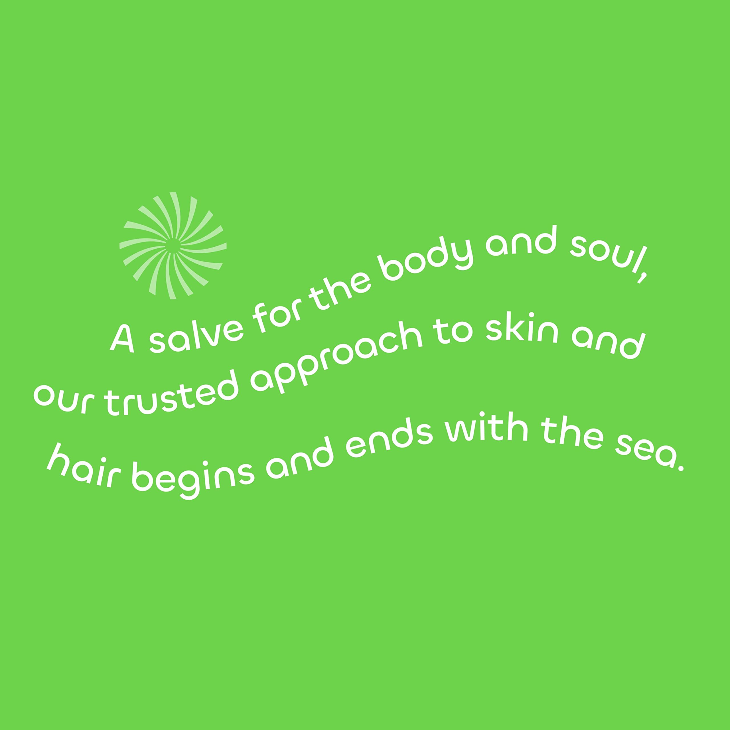 Clear view of Seaweed Bath Co. conditioner label listing key ingredients and eco-conscious certifications