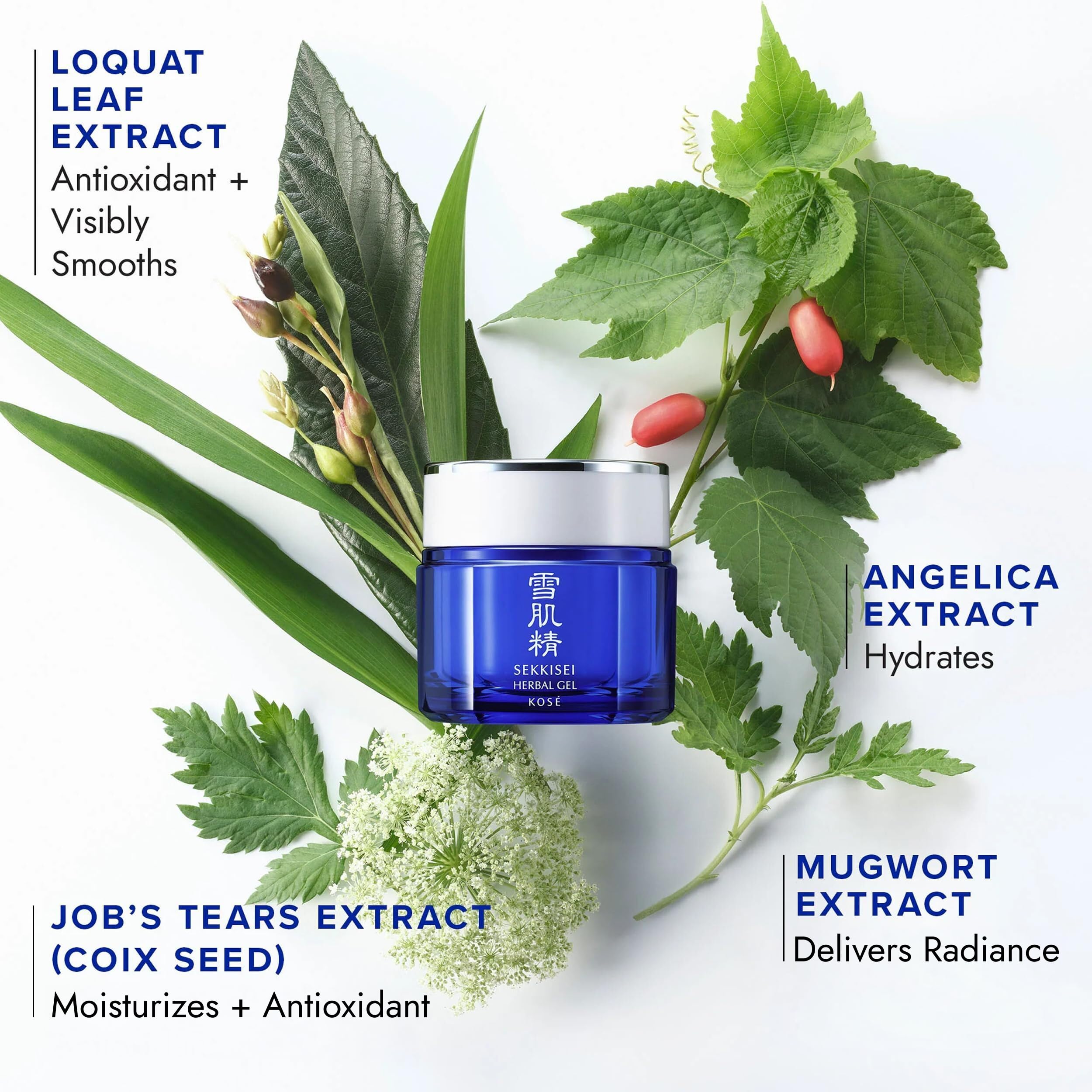 SEKKISEI open jar with gel surface illustrating smooth, plumping consistency