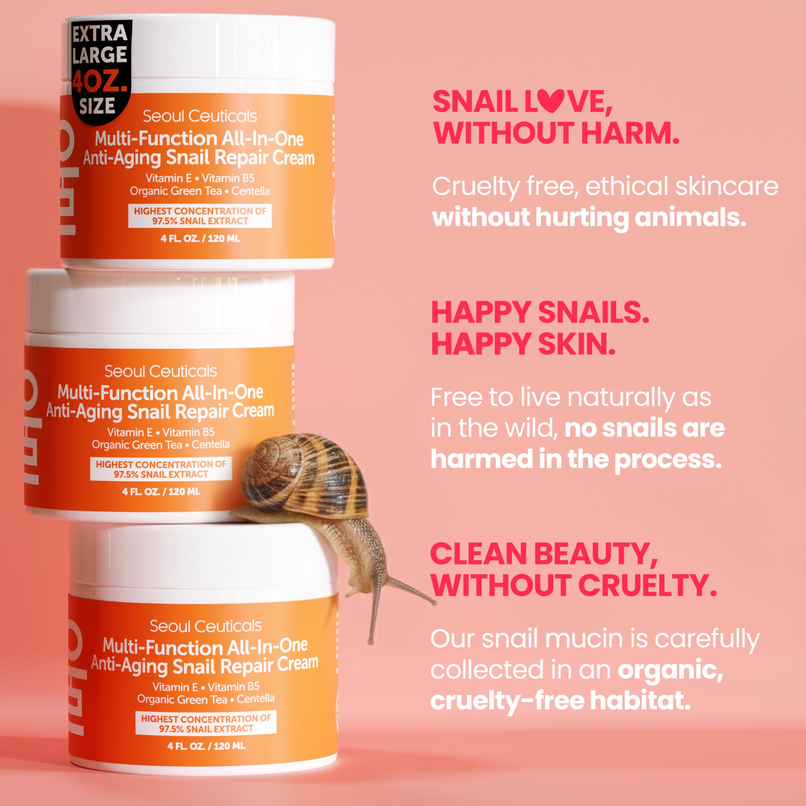 SeoulCeuticals jar on bathroom shelf suggesting daily skincare routine