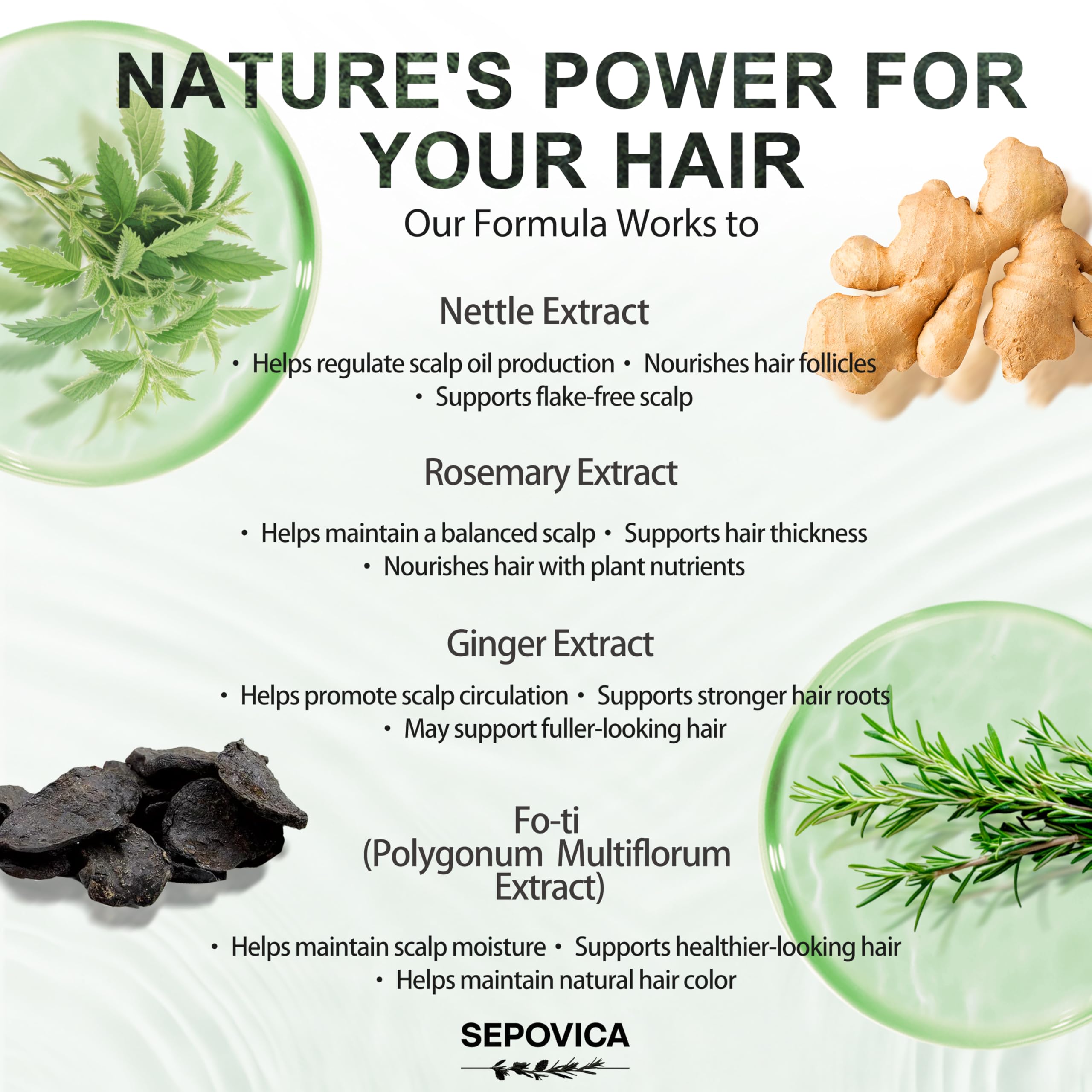 SEPOVICA ingredient label close-up highlighting botanical complex