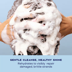 Shea Moisture shampoo in hand washing wet hair for smoother strands