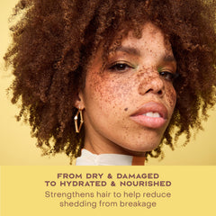 SheaMoisture ingredient focus on Jamaican black castor oil and shea butter nourishing hair