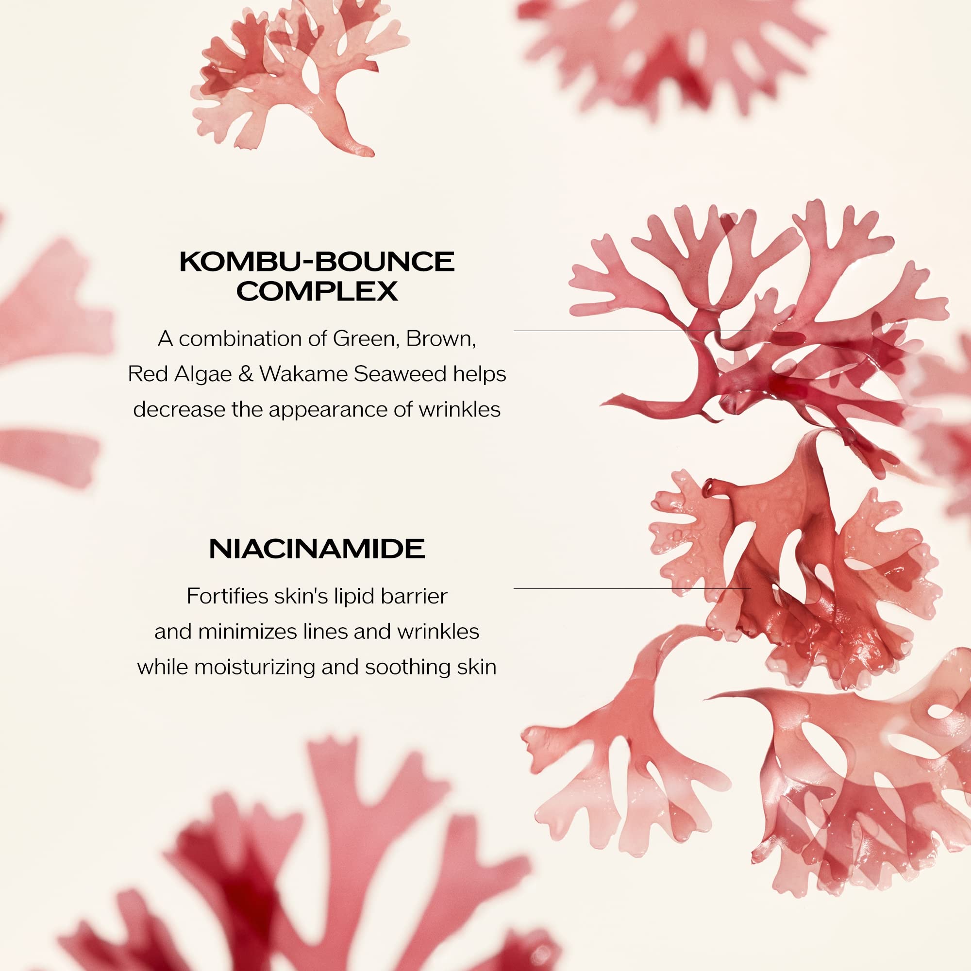 Shiseido Benefiance applying to face illustrating smooth absorption benefit