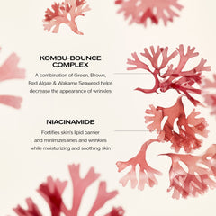 Shiseido Benefiance applying to face illustrating smooth absorption benefit