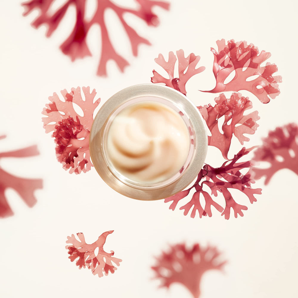 Shiseido Benefiance ingredient highlight kombu showing nourishing complex advantage