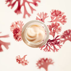 Shiseido Benefiance ingredient highlight kombu showing nourishing complex advantage