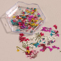 SILPECWEE opened box display with organized dried flowers for quick crafting