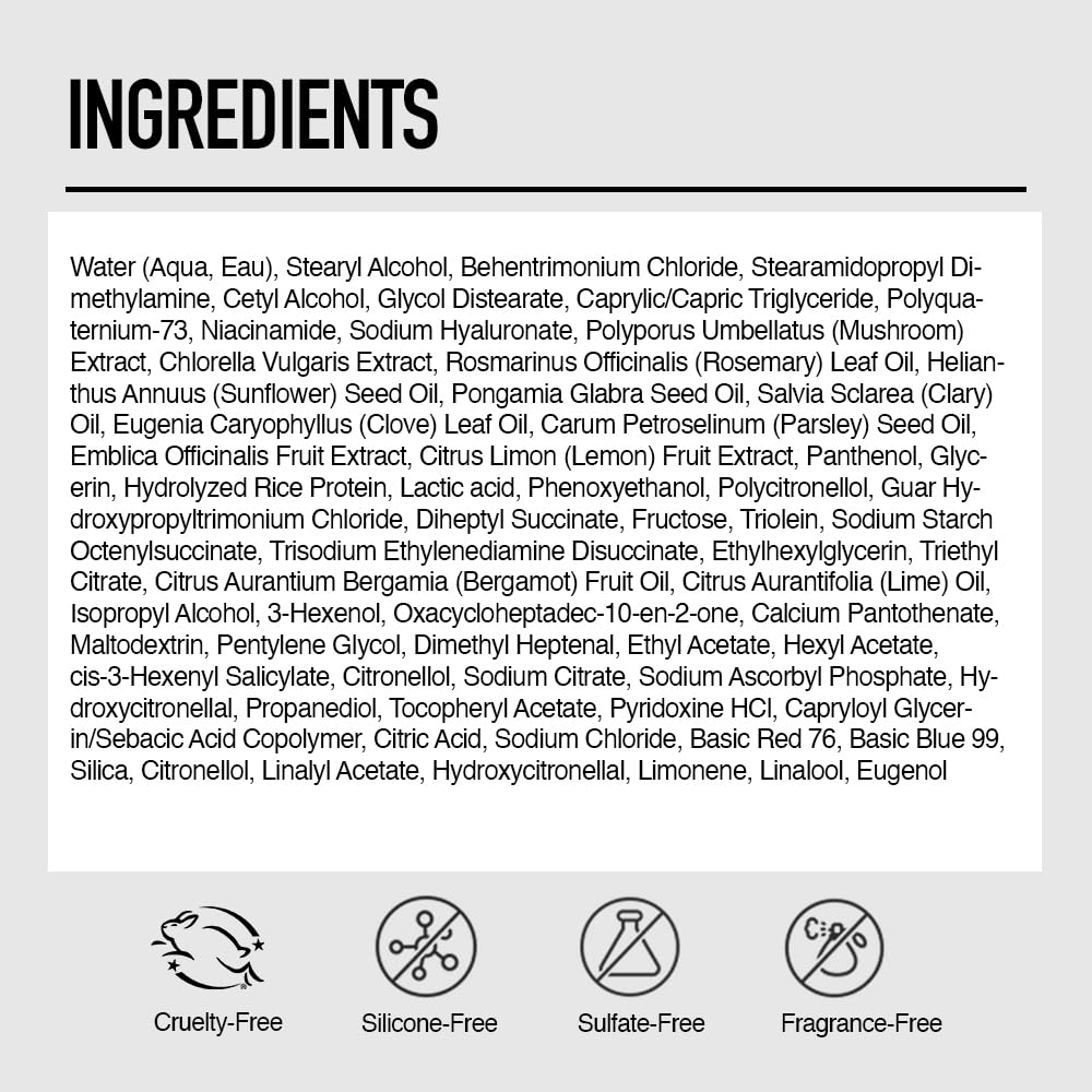 Silverist natural scent ingredients flatlay with parsley apple rosemary, conveying fresh aroma