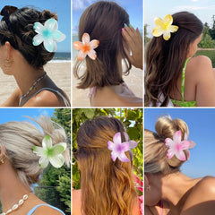 Sisiaipu beach scene with clip styled in hair conveys tropical look and travel-ready use