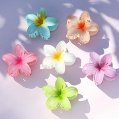 sisiaipu flat lay of all six colors showing mix-and-match styling options