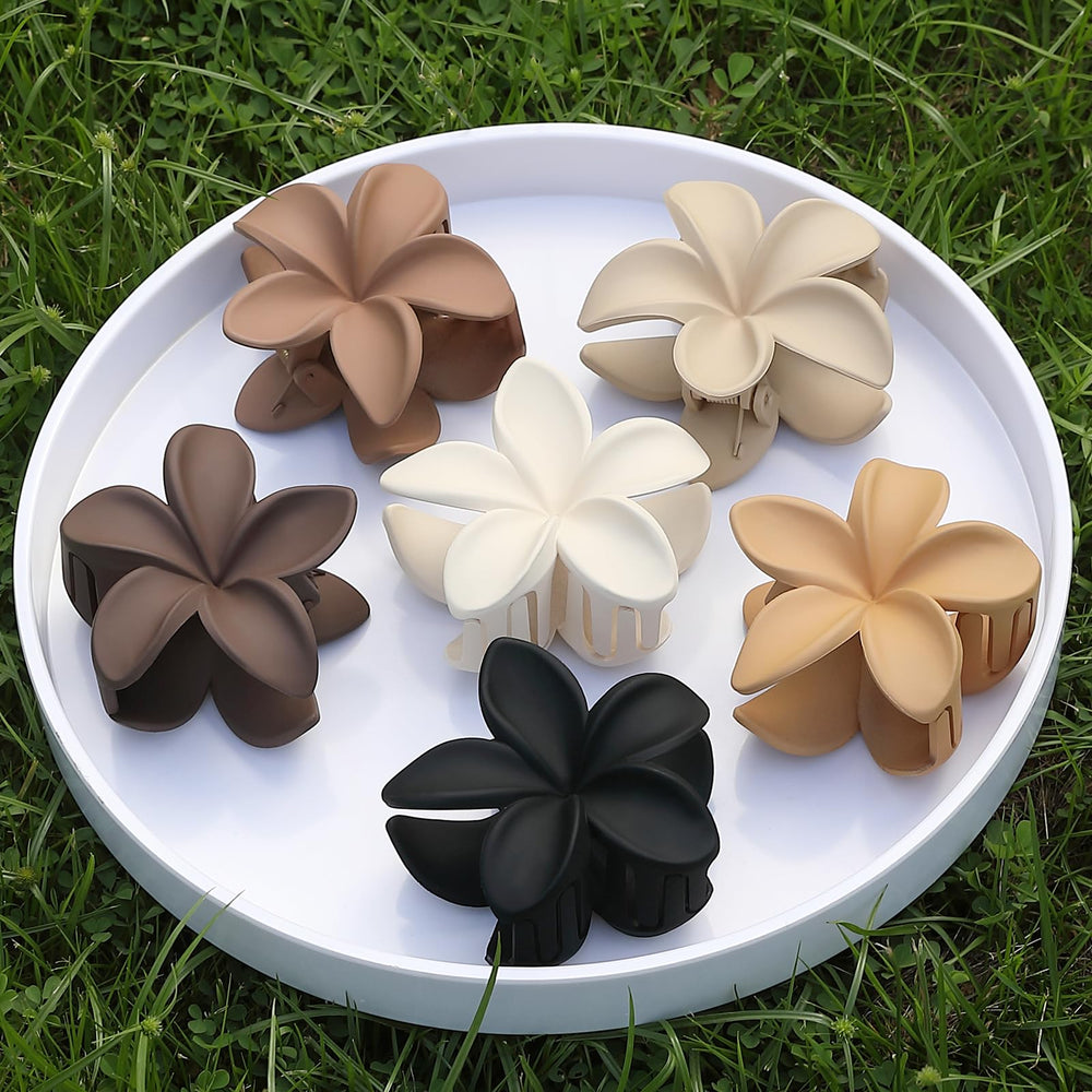Sisiaipu color assortment flatlay offering six coordinated styling options