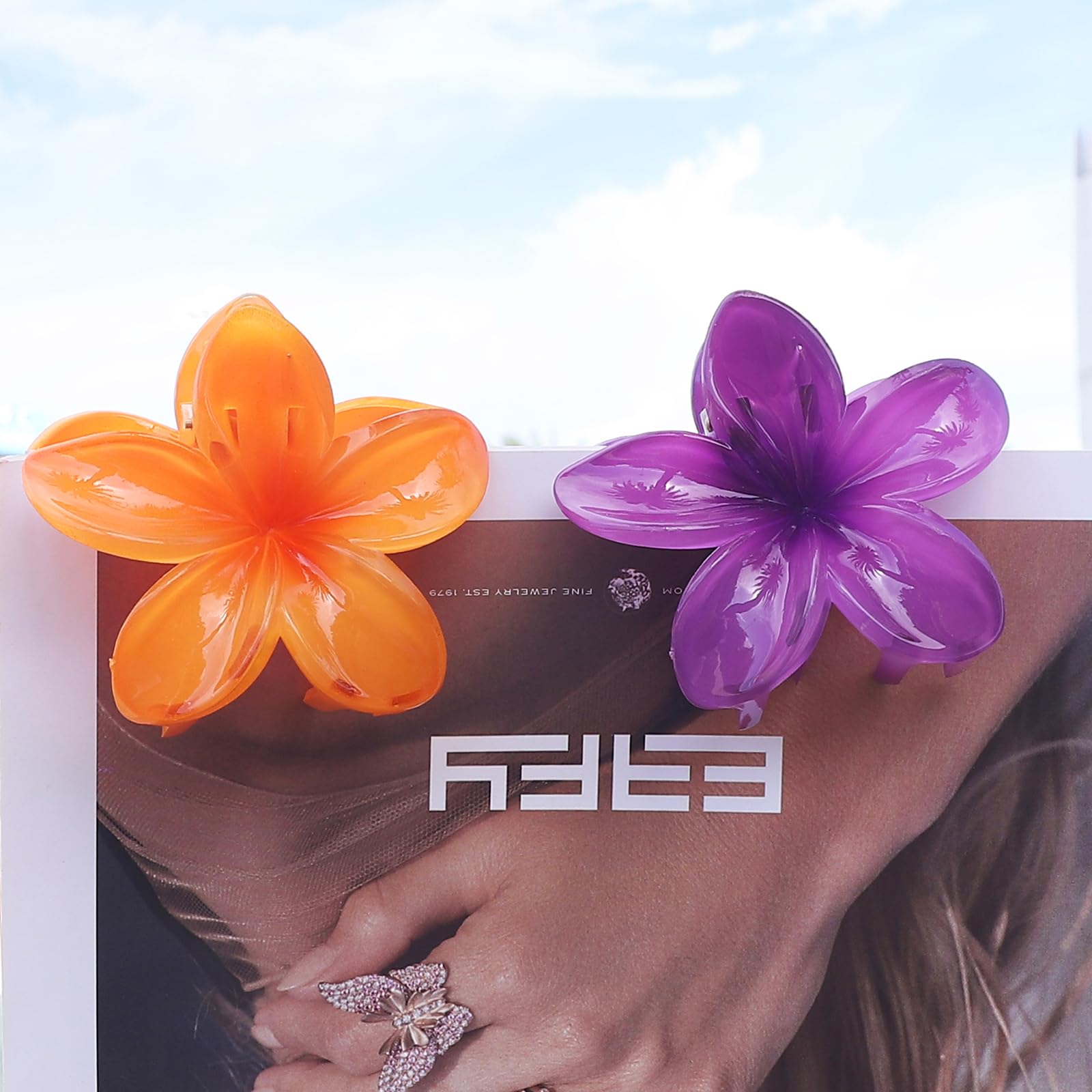 Sisiaipu flat lay of six dark-toned colors showing mix-and-match styling versatility