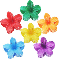 Sisiaipu front view of six-pack flower clips showing colorful set and packaging benefit: easy selection