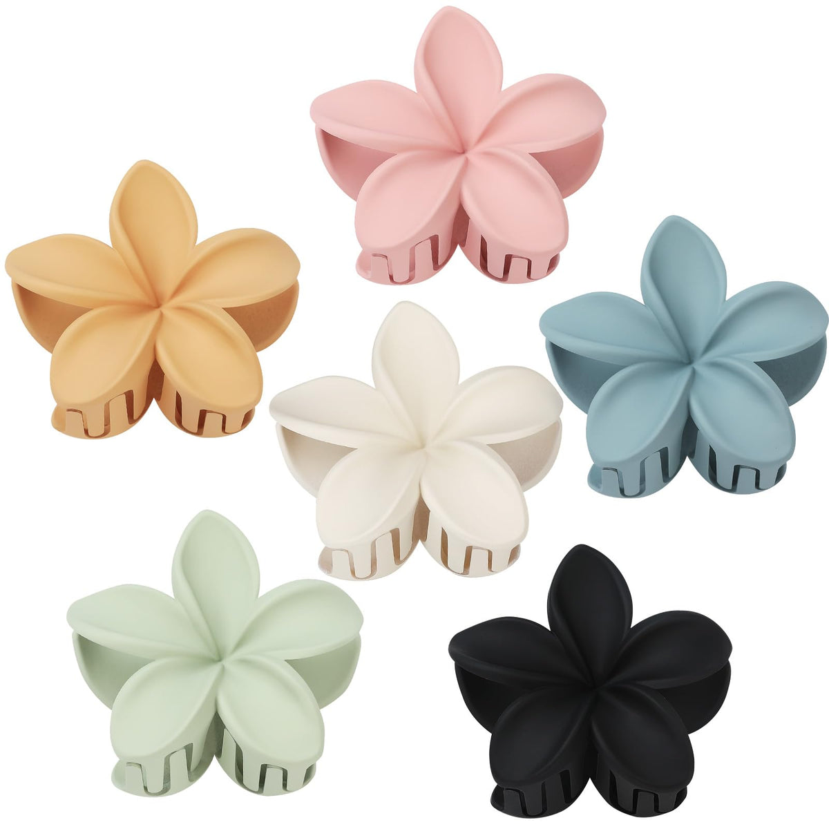 Sisiaipu front view of six colorful plumeria clips showing vibrant colors and design