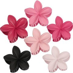 Sisiaipu front packaging showing six colorful flower claw clips and practical gift appeal
