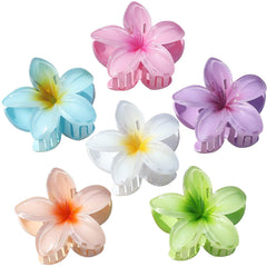 sisiaipu front presentation showing six colorful plumeria clips and quick styling benefit