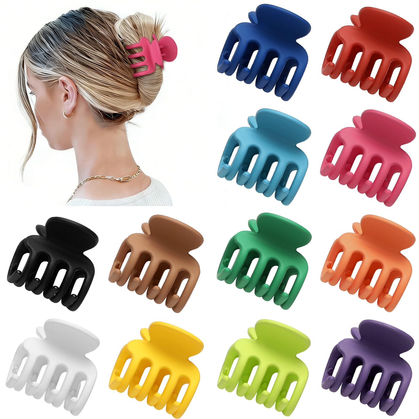 Sisiaipu gift-ready arrangement showing colorful clips as presentable gift